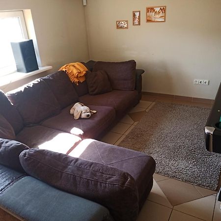 Vilnius Cat Friendly Apartment Екстериор снимка